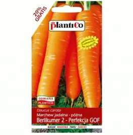 marchew-berlikumer-2-perfekcja-pozna-plenna-na-zbior-jesienny-nasiona