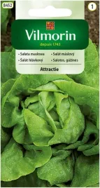 salata-gruntowa-maslowa-attractie-1-g-nasiona-do-uprawy-w-gruncie-caly-rok