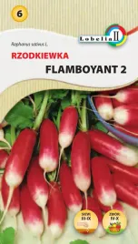 nasiona-rzodkiewka-flamboyant-wczesna-podluzna-czerwona-z-bialym-koncem