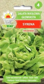 nasiona-warzyw-salata-glowiasta-maslowa-syrena-tworzy-duze-glowki-400-480g