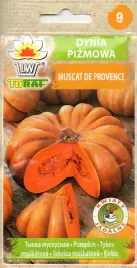 dynia-muscat-de-provence-toraf-4-g-pizmowa-francuska-intensywnie-slodka