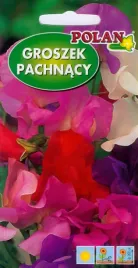 groszek-pachnacy-3g-pnacze-kwiaty-motylkowe-wabi-owady-nasiona