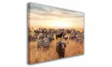 obraz-na-plotnie-135-sawanna-30x20cm