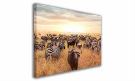 obraz-na-plotnie-135-sawanna-30x20cm