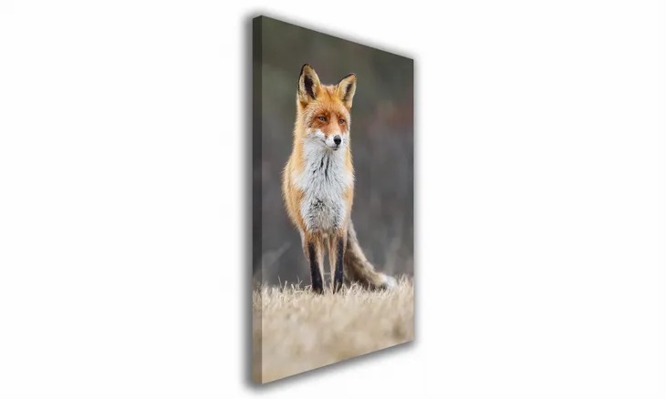 obraz-na-plotnie-121-lis-40x60cm
