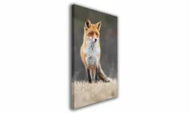 obraz-na-plotnie-121-lis-40x60cm