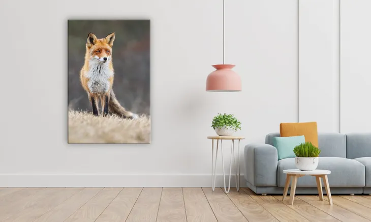 obraz-na-plotnie-121-lis-40x60cm-format-pionowy