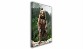 obraz-na-plotnie-142-stojacy-niedzwiedz-40x60cm