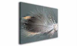 obraz-na-plotnie-130-piorko-90x60cm