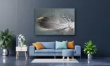 obraz-na-plotnie-130-piorko-90x60cm-wysokosc-cm-51-60