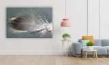 obraz-na-plotnie-130-piorko-90x60cm-szerokosc-cm-81-90