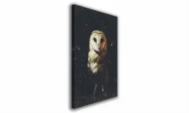 obraz-na-plotnie-139-sowa-60x90cm