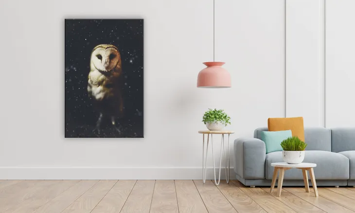 obraz-na-plotnie-139-sowa-60x90cm-szerokosc-cm-51-60