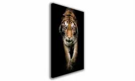 obraz-na-plotnie-145-tygrys-60x90cm