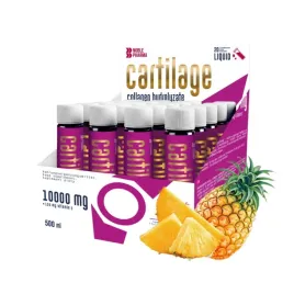 noble-pharma-cartilage-plus-hydrolizat-kolagenu-witamina-c-20-ampulek