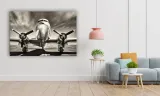 obraz-na-plotnie-134-samolot-100x70cm-format-poziomy