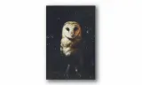 obraz-na-plotnie-139-sowa-70x100cm-stan-nowy