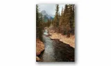 obraz-na-plotnie-143-strumyk-70x100cm-stan-nowy