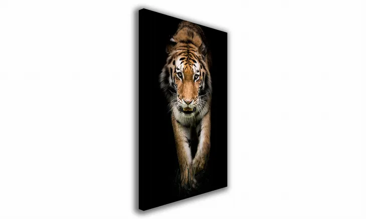 obraz-na-plotnie-145-tygrys-70x100cm