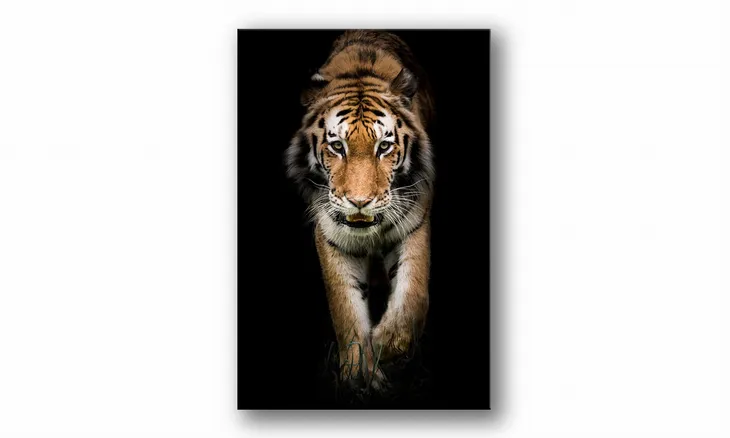 obraz-na-plotnie-145-tygrys-70x100cm-stan-nowy