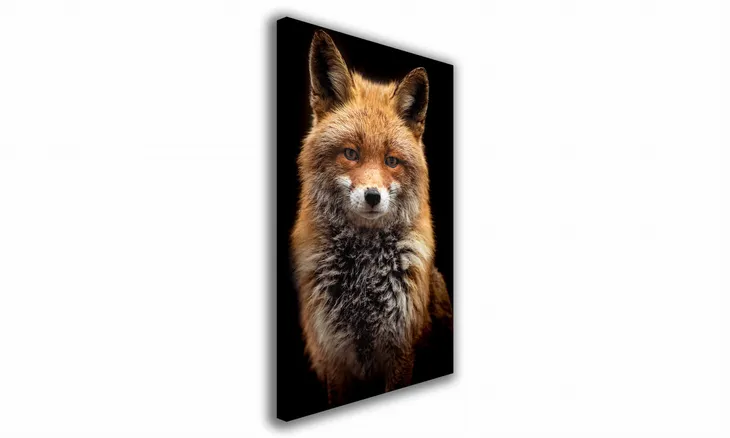 obraz-na-plotnie-122-lisek-20x30cm