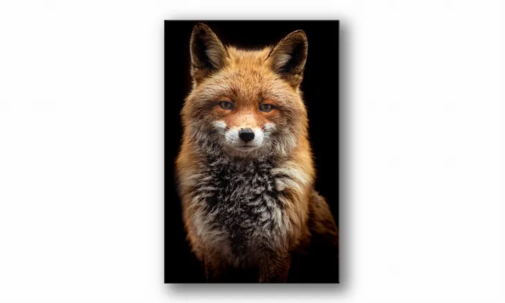 obraz-na-plotnie-122-lisek-20x30cm-stan-nowy