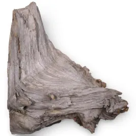 korzen-do-akwarium-old-pine-wood-z10-33x28x35