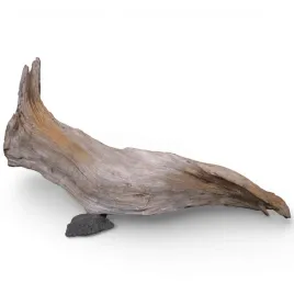 korzen-do-akwarium-old-pine-wood-z16-68x10x40