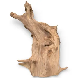 korzen-do-akwarium-old-pine-wood-z13-32x22x46