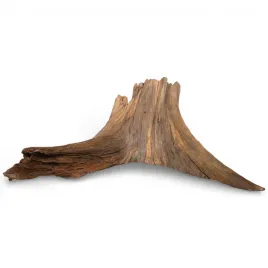 korzen-do-akwarium-old-pine-wood-z9-34x33x17