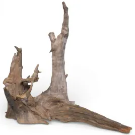 korzen-do-akwarium-old-pine-wood-z24-46x35x43
