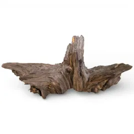 korzen-do-akwarium-old-pine-wood-z17-35x28x20