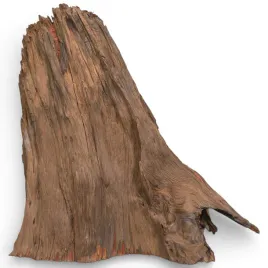 korzen-do-akwarium-old-pine-wood-z31-33x16x32