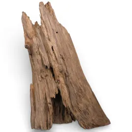 korzen-do-akwarium-old-pine-wood-z38-27x19x38