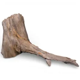 korzen-do-akwarium-old-pine-wood-z58-52x23x24