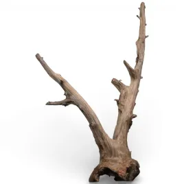 korzen-do-akwarium-old-pine-wood-z30-62x27x59