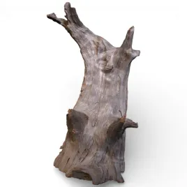 korzen-do-akwarium-old-pine-wood-z61-19x16x28