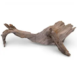 korzen-do-akwarium-old-pine-wood-z50-73x45x23
