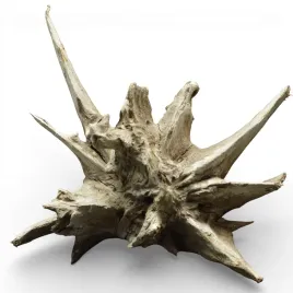 korzen-antique-oak-wood-do-akwarium-5063-60x42x68