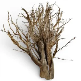 korzen-ancient-root-do-akwarium-b13-95x60x60-cm