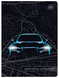zeszyt-w-kratke-a5-koty-interdruk-16-kartek-auto