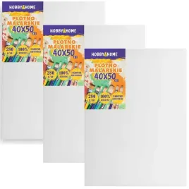 plotno-malarskie-do-malowania-profesjonalne-podobrazie-zestaw-3szt-40x50-cm