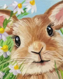 obraz-do-malowania-po-numerach-na-ramie-krolik-zestaw-po-numerach-artnapi