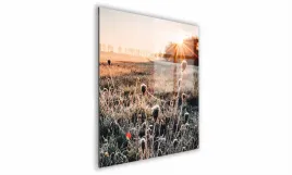 obraz-na-szkle-kwadratowy-70x70cm-075-oset