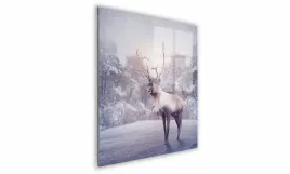 obraz-na-szkle-kwadratowy-70x70cm-087-renifer