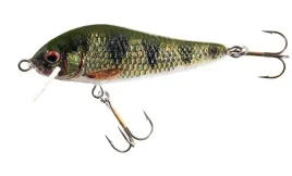 jaxon-wobler-hs-elon-nature-8cm-f-ol