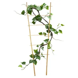 drabinka-bambusowa-podwojna-90-cm-podpora-do-roslin-pergola-drabinka