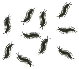 dekoracja-sztuczne-stonogi-10-szt-halloween