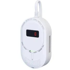 czujnik-tlenku-wegla-i-gazu-ctlg-08