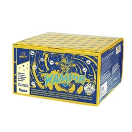 wampir-100s-ic21-100-1-f2-3-1